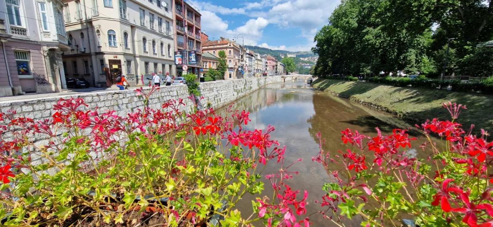 Lara * Sarajevo